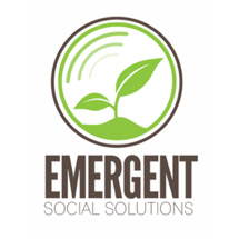 Emergent Social Solutions