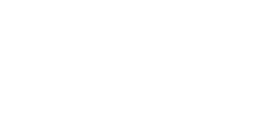 2024 Sundance Film Festival Laurel - Audience Award- US Documentary